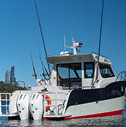 CW39 Evolution gallery image 13