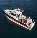 CW39 Evolution gallery image 14